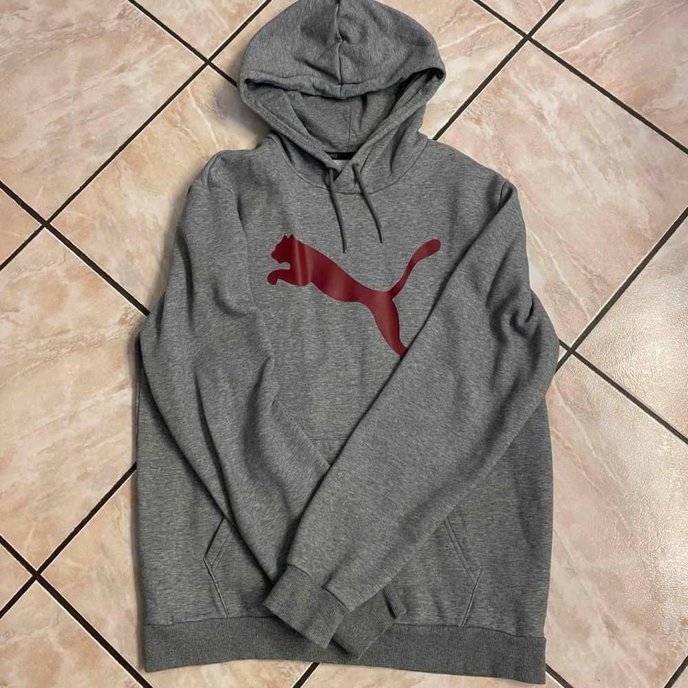 Puma Hoodie Size: M